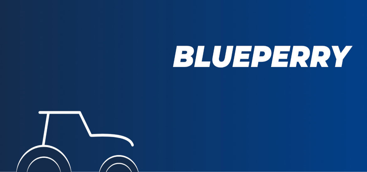 Blueperry 
